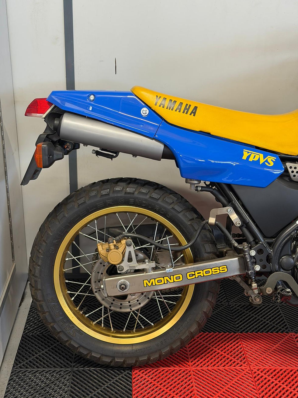 Miniatura: YAMAHA TDR 250