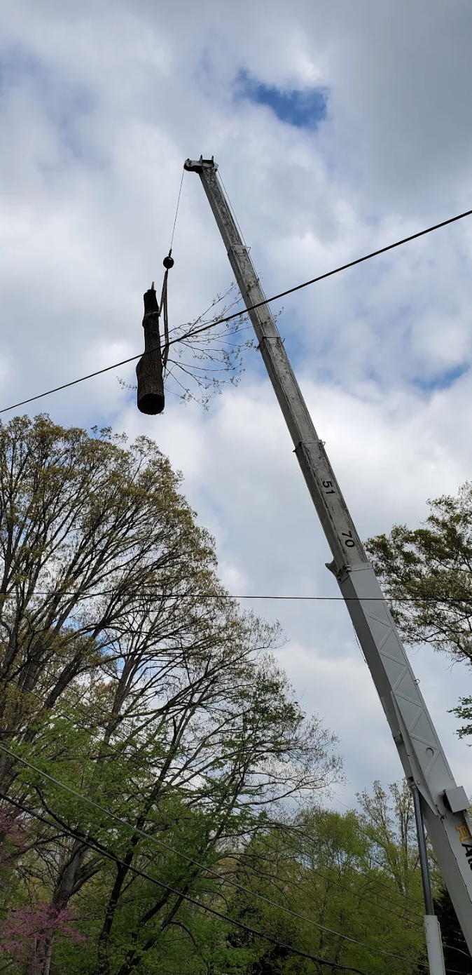 Screen Shot 2024-04-07 at 11.43.49 PM.png