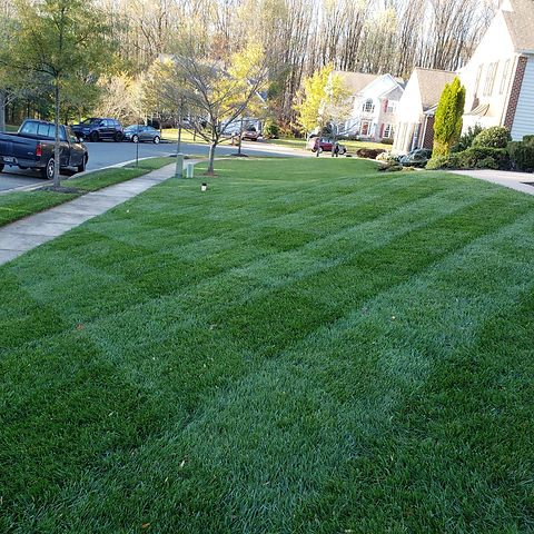 20201104_154555.jpg