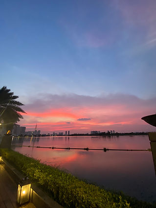 Contact form to reach executive coach in Vietnam