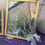 Thumbnail: Framed Lavender Photography