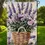 Thumbnail: Garden Flags