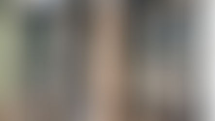 Garden Greenhouse Project 2020