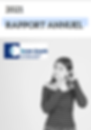 Rapport-annuel-ecoute.png