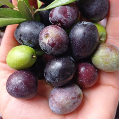 olives