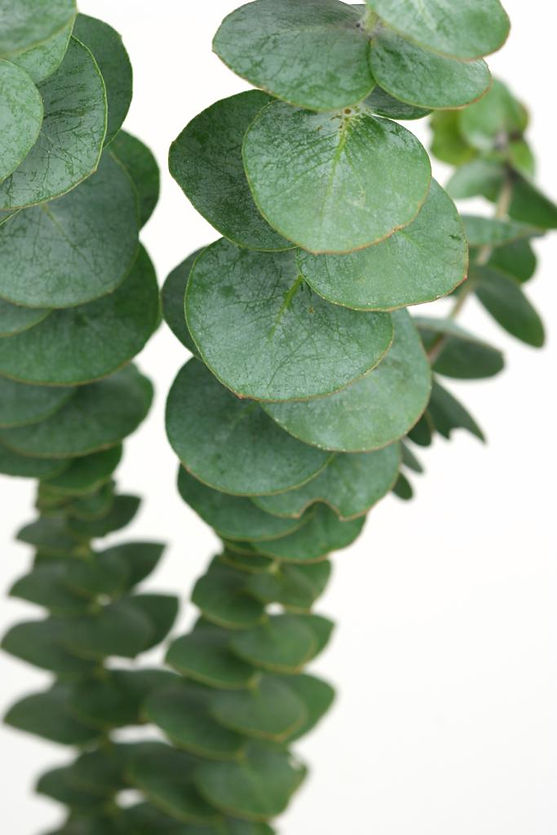 13d9d661-76a9-4249-913f-fb0ba7d63f76.jfif