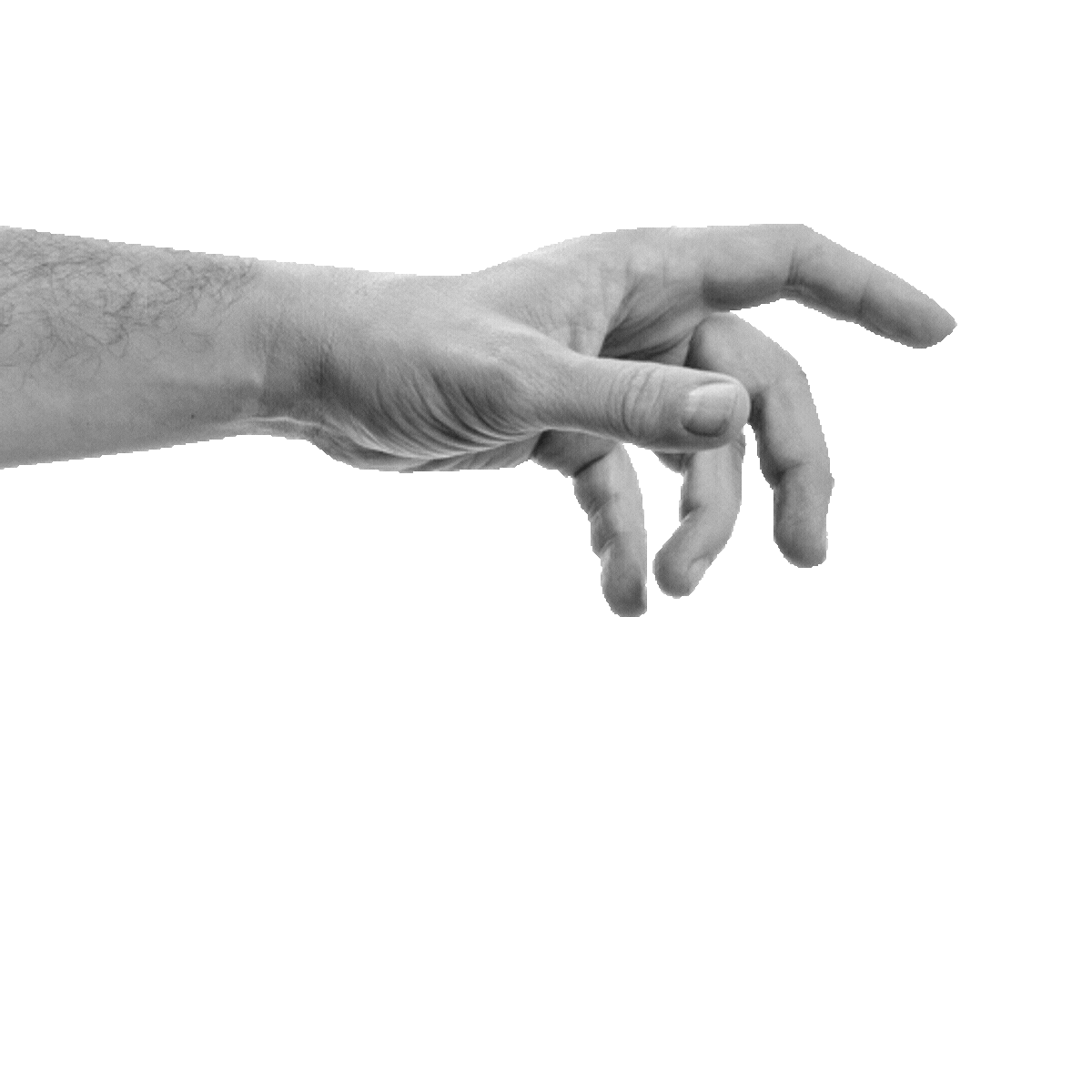 3.gif