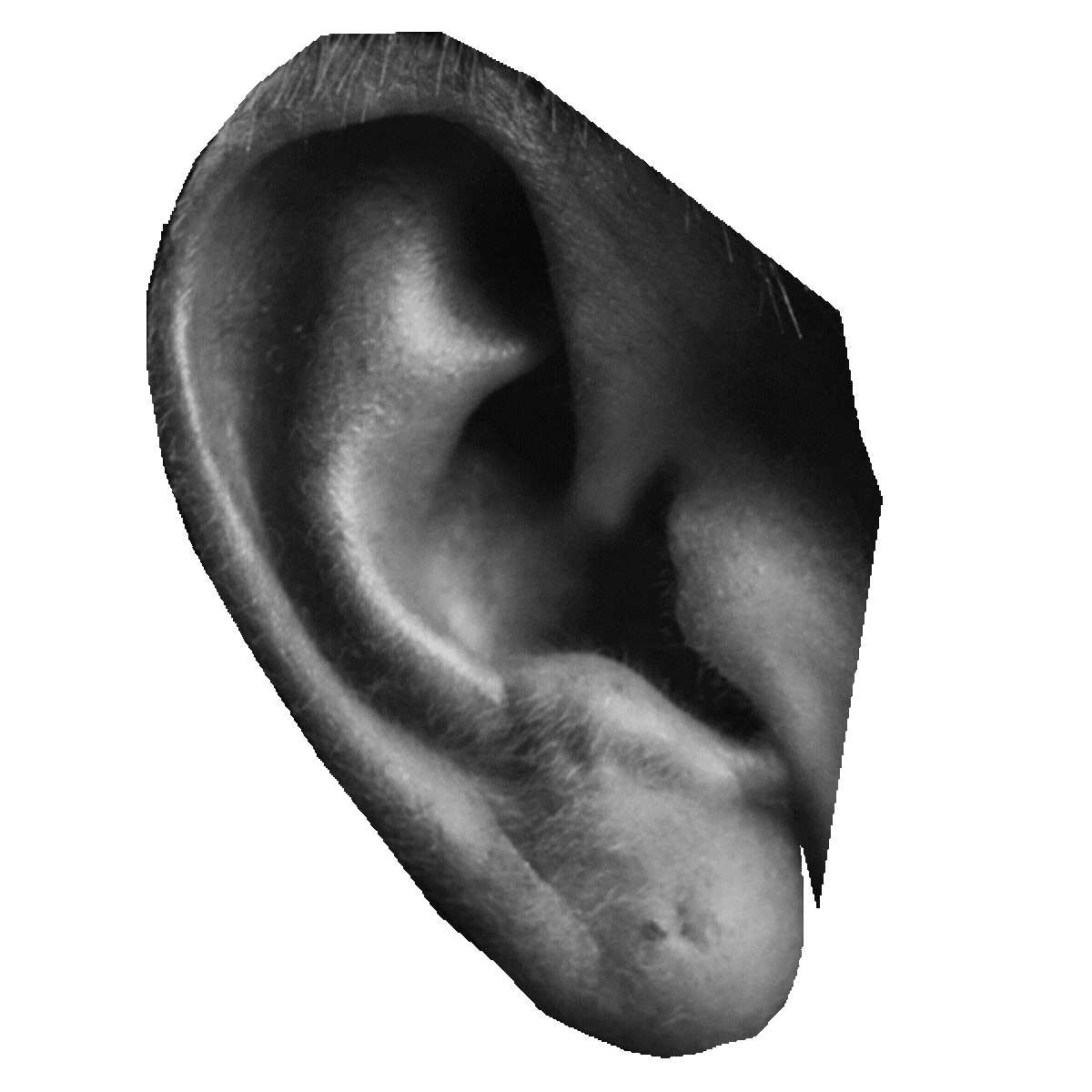 4.gif