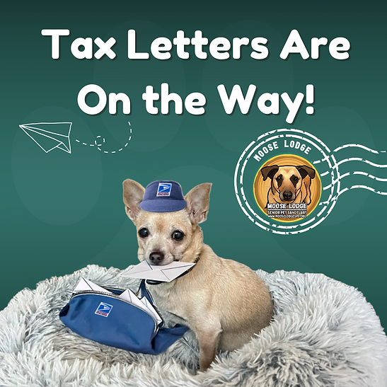 Mini the mail lady