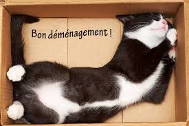 cool je déménage!