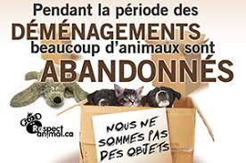 Ne nous abandonnez pas!