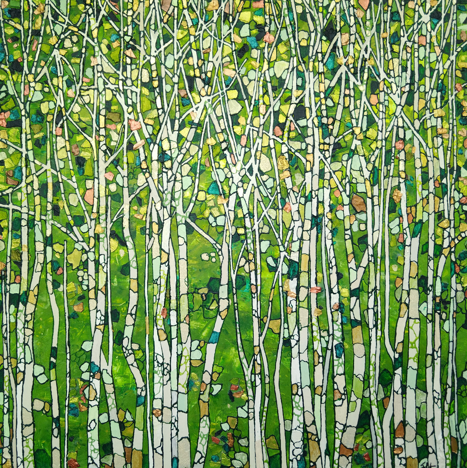 Forêt de bouleaux