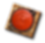 SALS.png