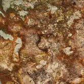 Luxury granite dining table made from Desert Canyon stone with a polished finish, showcasing bold brown, gold, grey, and blue veining — perfect for high-end custom interiors.