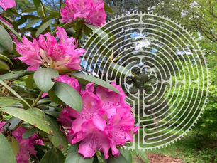Walk the Labyrinth on May 4