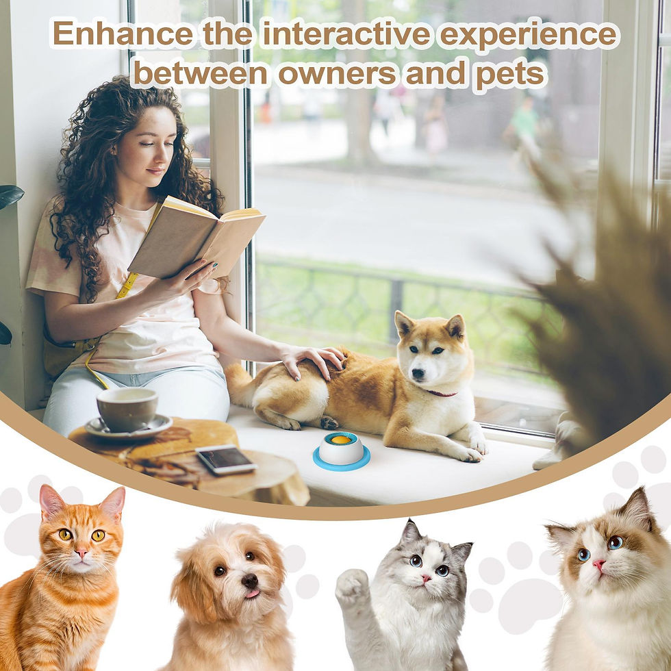 Thumbnail: Pet Feeding Accessories Dog Treat Toy Puzzle Toys For Bored Puppy Slow Feeder Pu