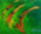 IMG_3347.jpeg