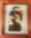 fullsizeoutput_e9.jpeg