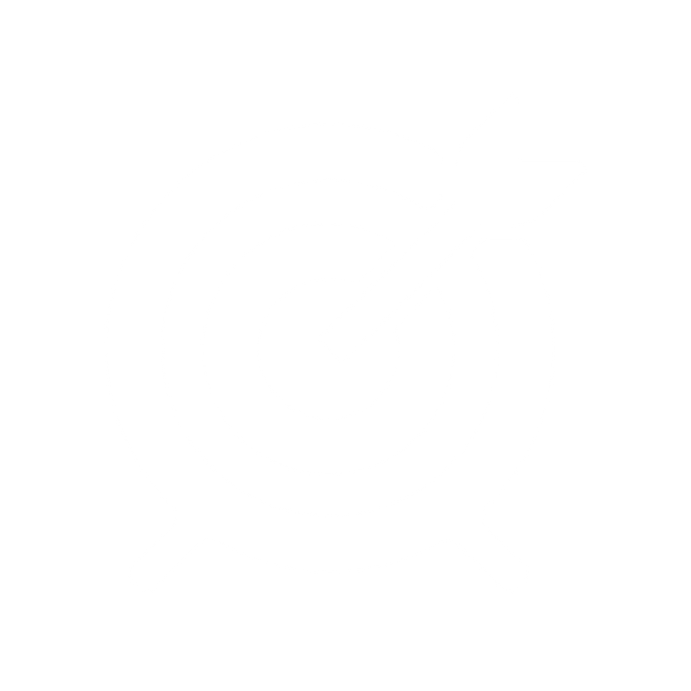point (16).png