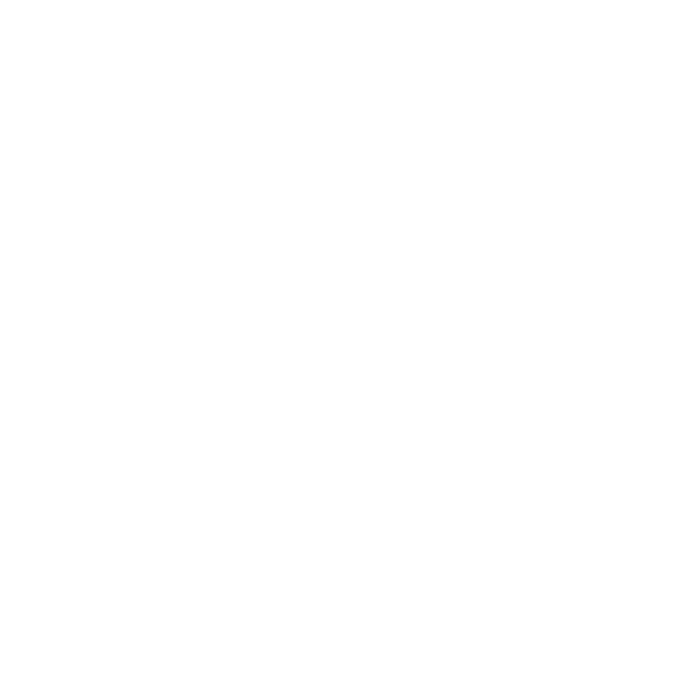 point (14).png