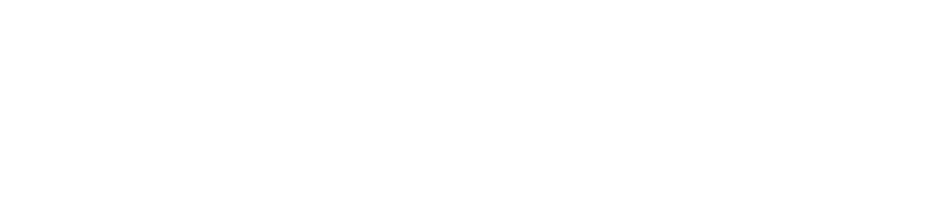 Zophipay_white (1).png