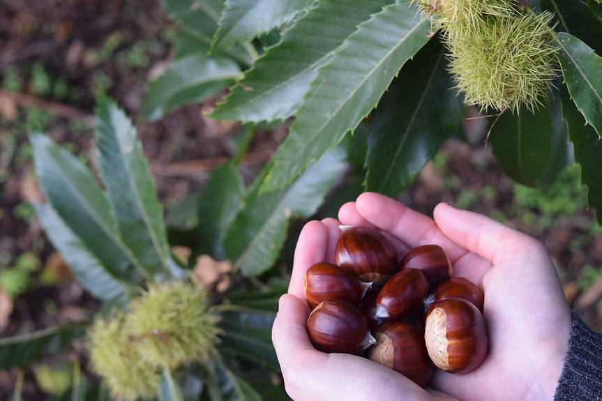 58BDCEDD-0EC4-4FD6-927D-85FF362FCCD5.jpe