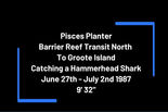 Pisces Planter Barrier Reef-Hammerhead shark June 27 - July 2nd 1987