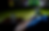 A_APPPage_PHOTO.png