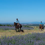 _Raoul Getraud7327.jpg