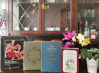 Library image