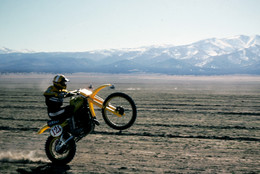 Hal Wheelie.jpeg