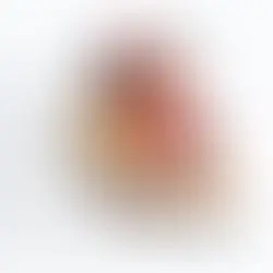 Varškės apkepai kaip pyragai (3 receptai)