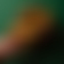 Užkandinė beždžionėlių duona (Receptas)