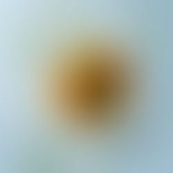 sultingi kotletai su daržovėmis