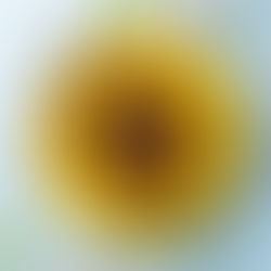 įdaryti grybai_Alfo receptas