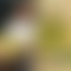 Festivalio pica su smidrais ir cukinijomis 