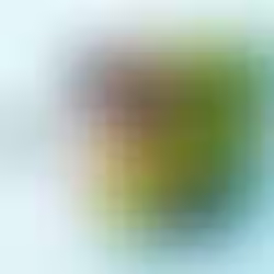 Patiekalai su malta mėsa: jaukūs, sotūs, skanūs (Receptai)