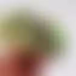 5 lengvai paruošiami užkandžiai Užgavėnėms 