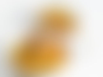 Troškintų kopūstų sriuba (Receptas) 