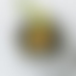 Agurkas tinka visur: 5 receptai su agurkais