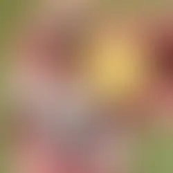 1 iš 2. Aštrios bulvinės spurgytės ar saldžios dviejų skonių varškės spurgos? (Receptai)