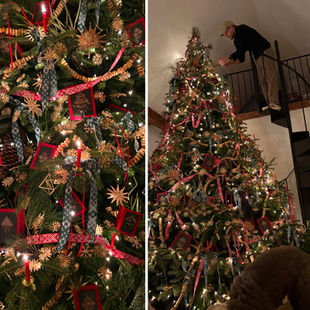 Alfo kalėdinė eglė