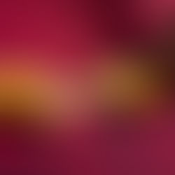 karštas sumuštinis