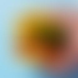 Sultingas mėsainis su mangais, traškučiais ir avokadais (Receptas)