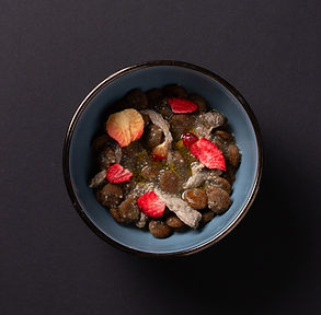 Jautienos ir ispaninio šalavijo sėklų užkandis šunims (Receptas)