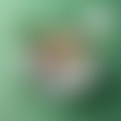 #AlfoŠuo. Šuniška pasta „Bolognese“