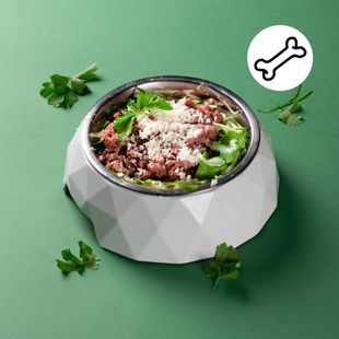 #AlfoŠuo. Šuniška pasta „Bolognese“