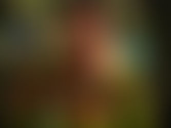 KAMELOT RECIBIRÁ LA PRIMAVERA 2025 CON GRAN ESPECTÁCULO AL ESTILO MEDIEVAL PARA TODA LA FAMILIA