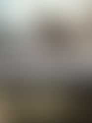 LOS BUITRES DE CULIACÁN LANZAN “DESORIENTADO”, UN RETRATO CRUDO DEL DESAMOR ACTUAL.