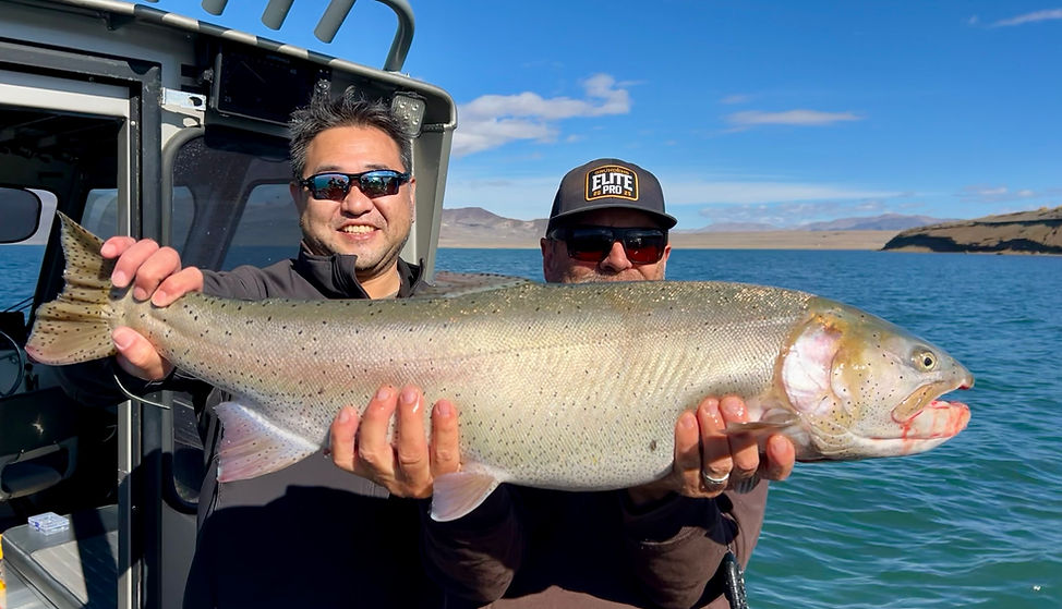 Giant Pyramid Lake Cutthroat Trout caught on guided trip with JD Richey Sportfishing